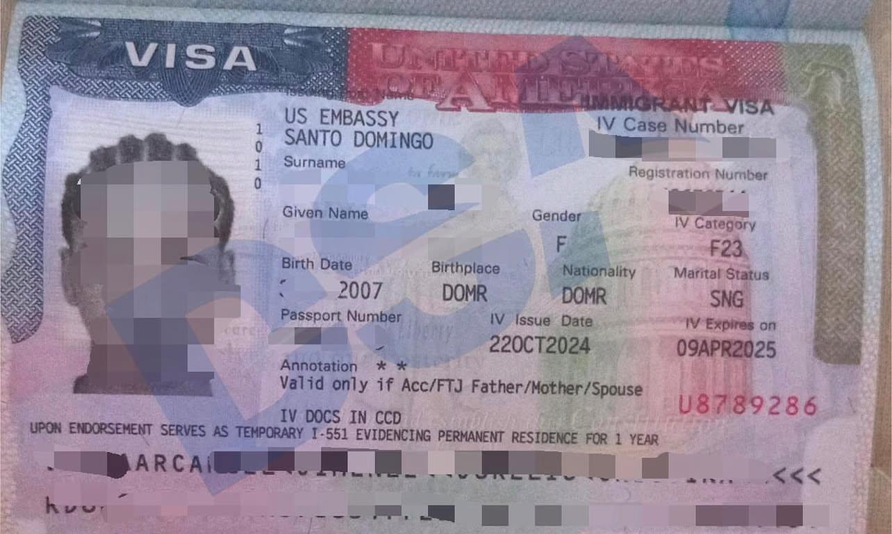 Visa Aprobada 4
